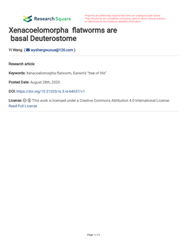 Xenacoelomorpha Atworms Are Basal Deuterostome
