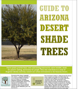 Selecting Desert Shade Trees