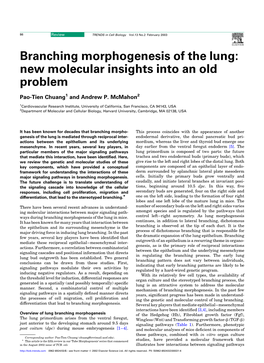 Branching Morphogenesis of the Lung: New Molecular Insights Into an Old Problem