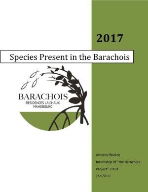 Species Present in the Barachois