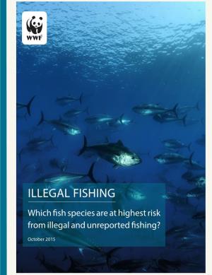 ILLEGAL FISHING Which Fish Species Are at Highest Risk from Illegal and Unreported Fishing?