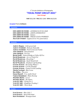 "FOCAL POINT CIRCUIT 2021" Salon Portugal