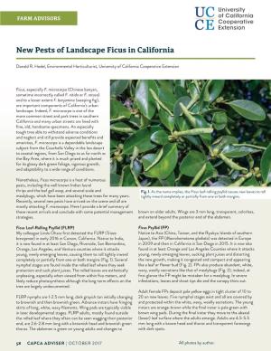 New Pests of Landscape Ficus in California