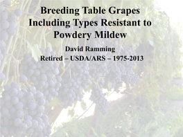 Breeding Table Grapes Including Types Resistant to Powdery Mildew David Ramming Retired – USDA/ARS – 1975-2013 Objectives