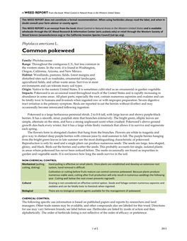 Phytolacca Americana L