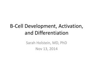 B-Cell Development, Activation, and Differentiation