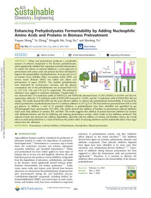 Enhancing Prehydrolysates Fermentability by Adding