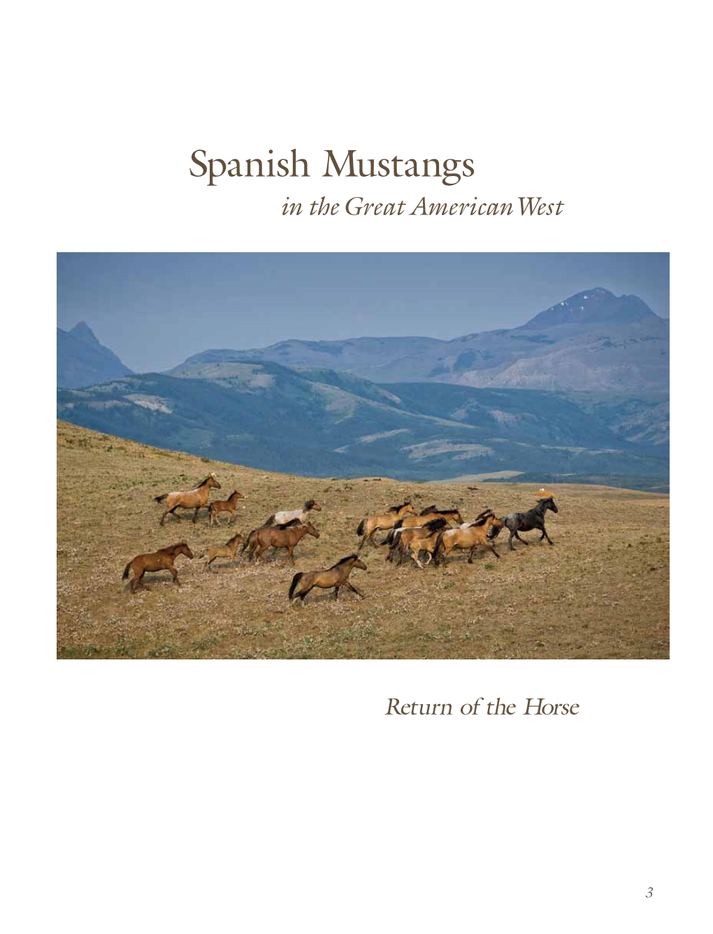 Spanish Mustangs in the Great American West