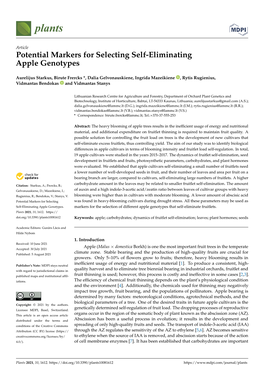 Potential Markers for Selecting Self-Eliminating Apple Genotypes