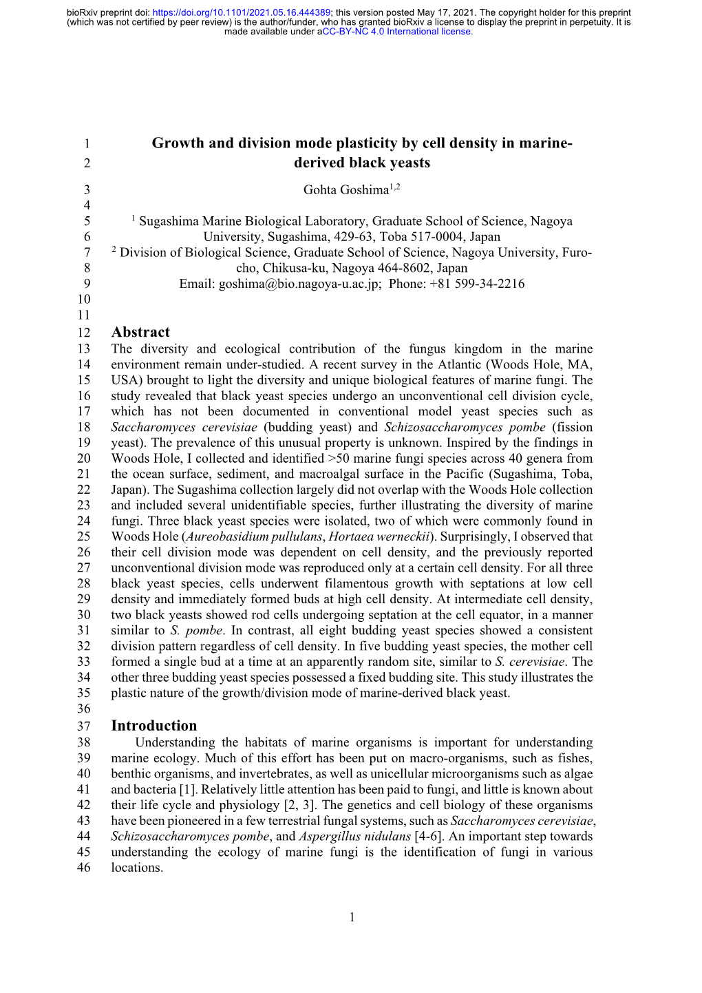 Growth and Division Mode Plasticity by Cell Density in Marine-Derived