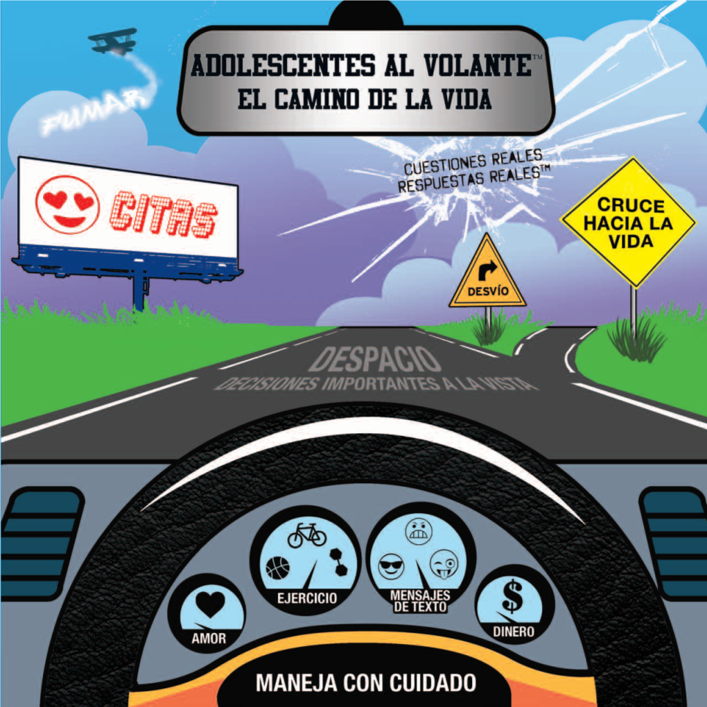 Adolescentes Al Volante El Camino De La Vida