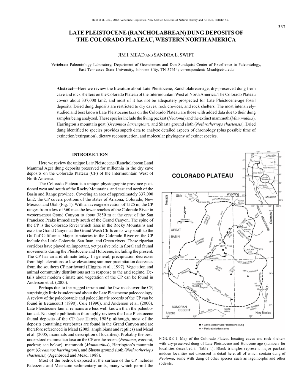 40. Late Pleistocene Dung Deposits