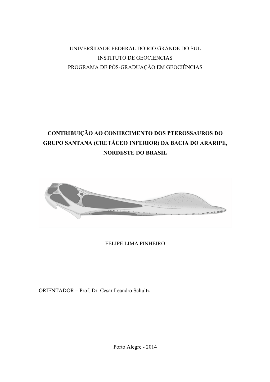 Universidade Federal Do Rio Grande Do Sul Instituto De Geociências Programa De Pós-Graduação Em Geociências Contribuição