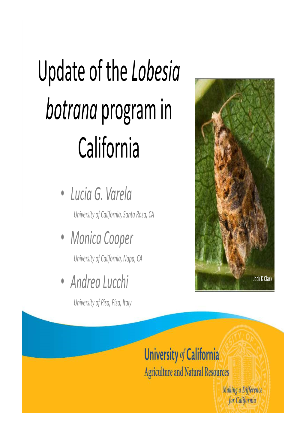 Update of the Lobesia Botrana Program in California