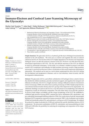 Immuno-Electron and Confocal Laser Scanning Microscopy of the Glycocalyx