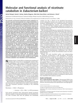 Molecular and Functional Analysis of Nicotinate Catabolism in Eubacterium Barkeri