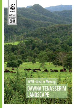 Dawna Tenasserim Landscape