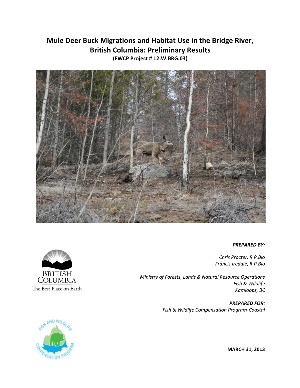 Mule Deer Buck Migrations and Habitat Use in the Bridge River, British Columbia: Preliminary Results (FWCP Project # 12.W.BRG.03)