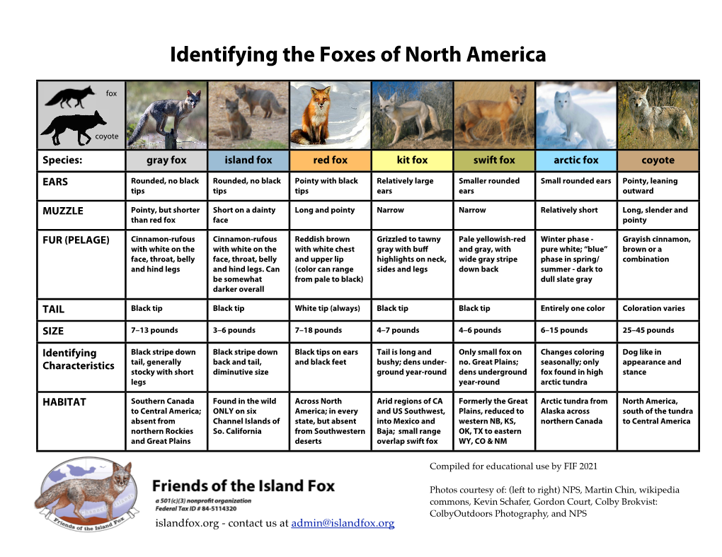 Identifying the Foxes of North America