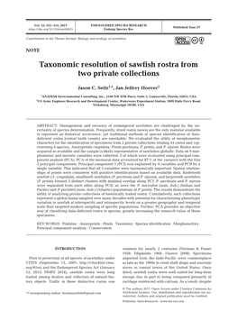 Taxonomic Resolution of Sawfish Rostra from Two Private Collections