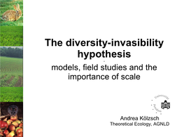 The Diversity-Invasibility Hypothesis - Models, Field Studies and the Importance of Scale