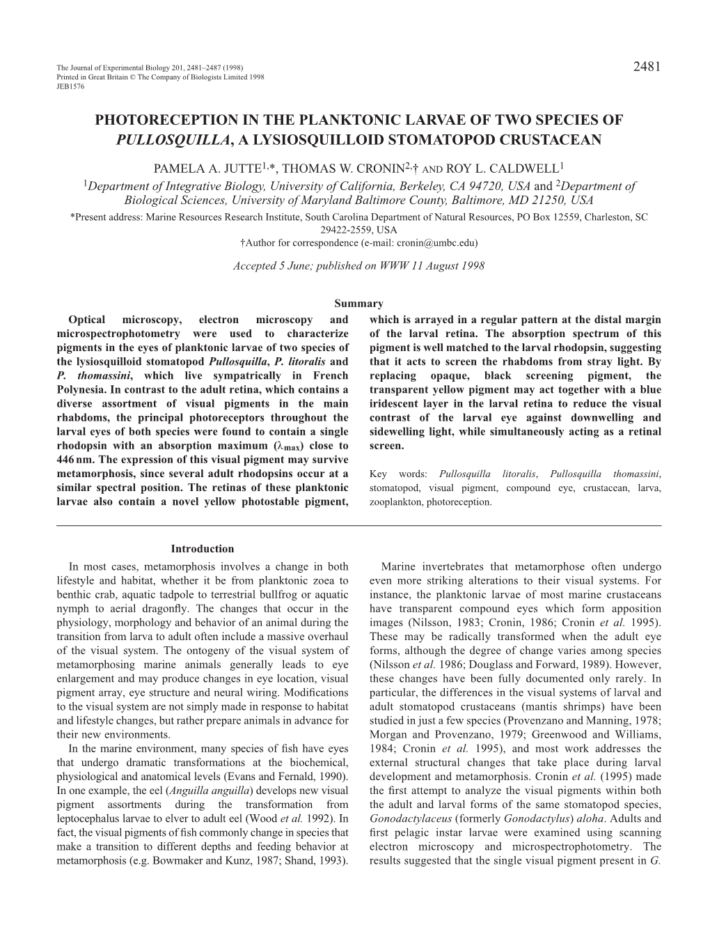 Photoreception in the Planktonic Larvae of Two Species of Pullosquilla, a Lysiosquilloid Stomatopod Crustacean