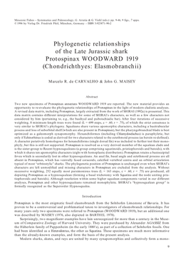 Phylogenetic Relationships of the Late Jurassic Shark Protospinax WOODWARD 1919 (Chondrichthyes: Elasmobranchii)