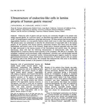 Ultrastructure of Endocrine-Like Cells in Lamina Propria of Human Gastric Mucosa