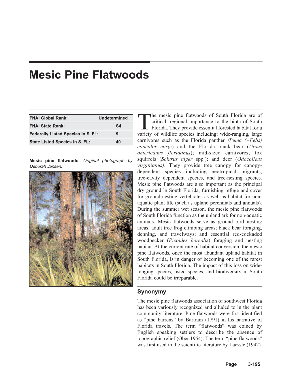 Mesic Pine Flatwoods