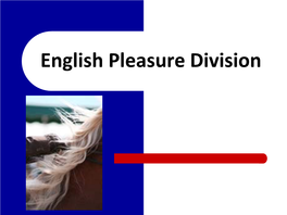 English Pleasure Division What Is This Division?