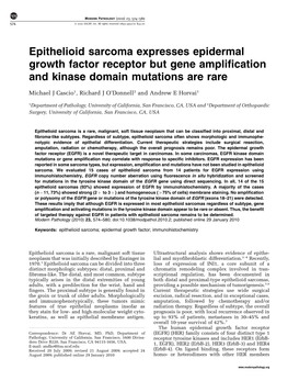 Epithelioid Sarcoma Expresses Epidermal Growth Factor Receptor but Gene Amplification and Kinase Domain Mutations Are Rare
