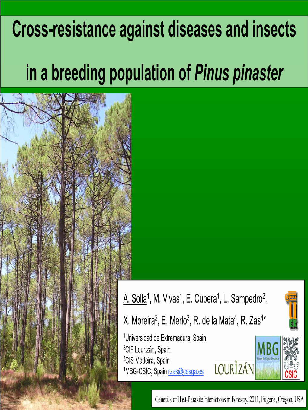 Cross-Resistance Against Diseases and Insects in a Breeding Population of Pinus Pinaster