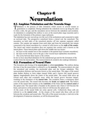 Neurulation 6.1