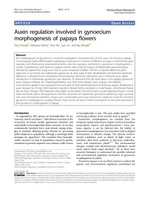 Auxin Regulation Involved in Gynoecium Morphogenesis of Papaya Flowers