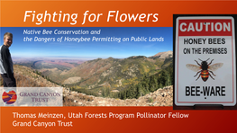 Fighting for Flowers Native Bee Conservation and the Dangers of Honeybee Permitting on Public Lands