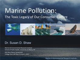 Marine Pollution and the Toxic Legacy of Our Consumer Culture