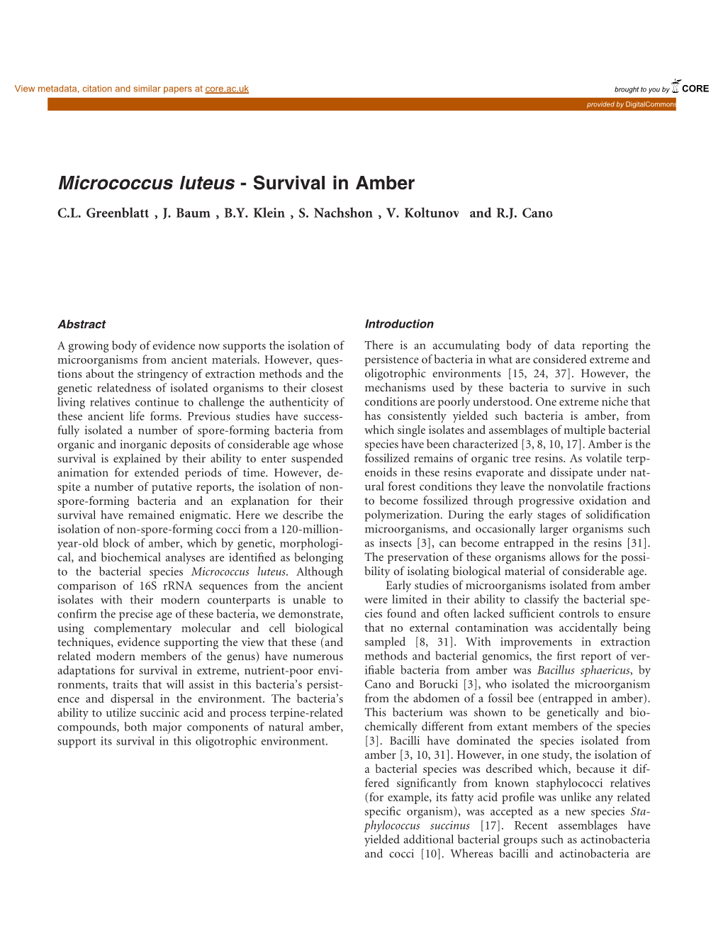 Micrococcus Luteus - Survival in Amber C.L