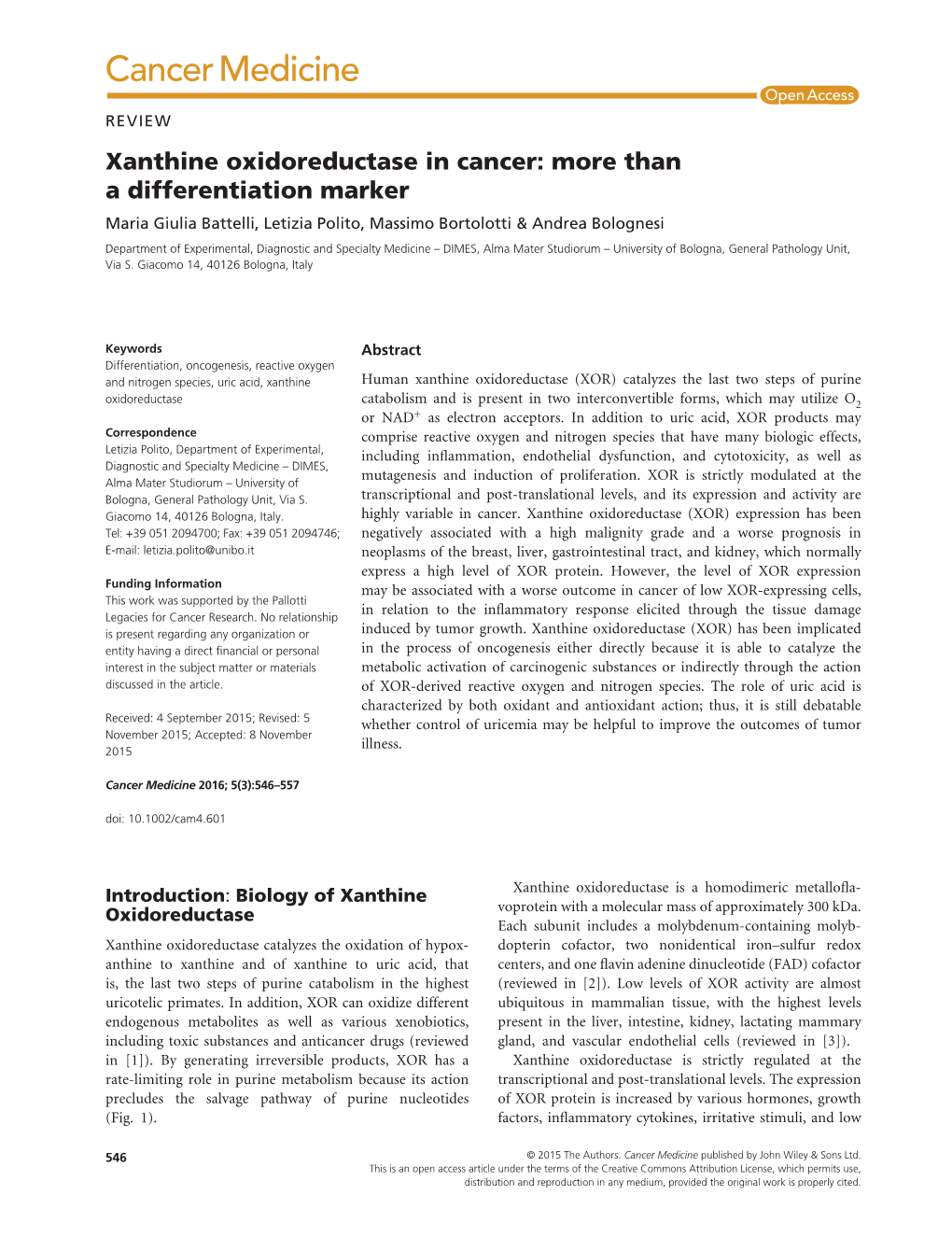 Xanthine Oxidoreductase in Cancer