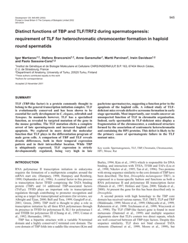 TLF in Spermiogenesis 947