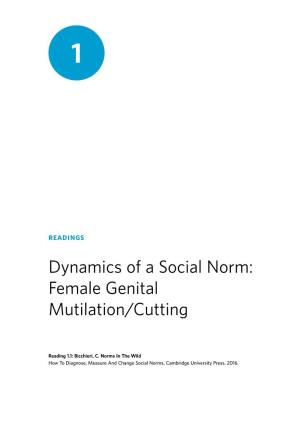 Dynamics of a Social Norm: Female Genital Mutilation/Cutting
