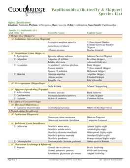 Papilionoidea (Butterfly & Skipper) Species List