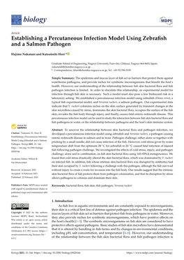 Establishing a Percutaneous Infection Model Using Zebrafish And
