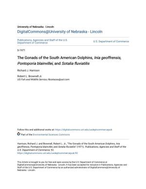 The Gonads of the South American Dolphins, Inia Geoffrensis, Pontoporia Blainvillei, and Sotalia Fluviatilis