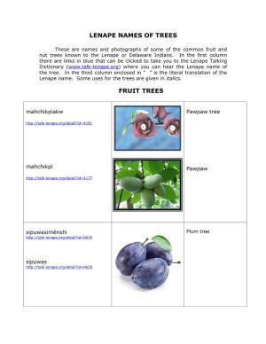 Lenape Names of Trees Fruit Trees