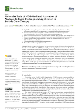 Molecular Basis of NDT-Mediated Activation of Nucleoside-Based Prodrugs and Application in Suicide Gene Therapy