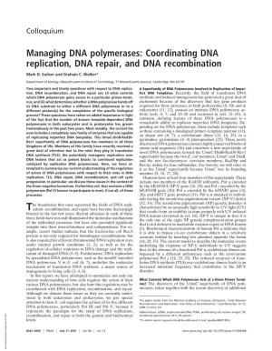 Managing DNA Polymerases: Coordinating DNA Replication, DNA Repair, and DNA Recombination