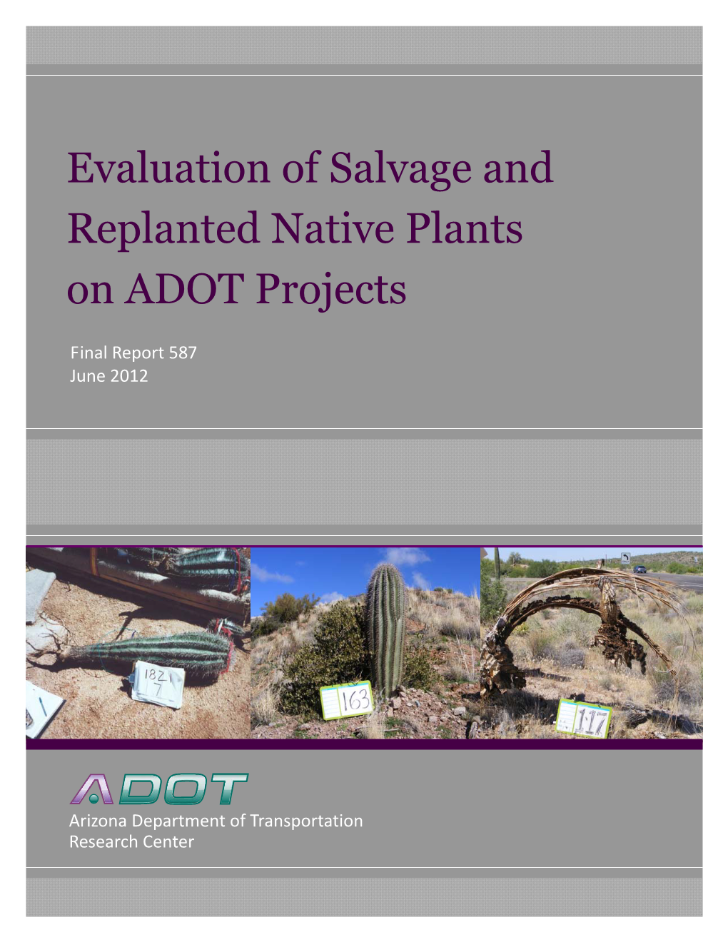 Evaluation of Salvage and Replanted Native Plants on ADOT Projects