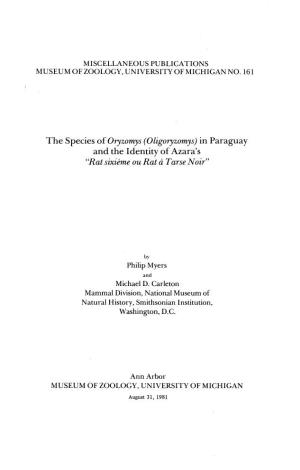 The Species of Oryzomys (Oligoryzomys) in Paraguay and the Identity of Azara's "Rat Sixieme Ou Rat a Tarse Noir"