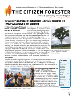 DCR Citizen Forester April 2021
