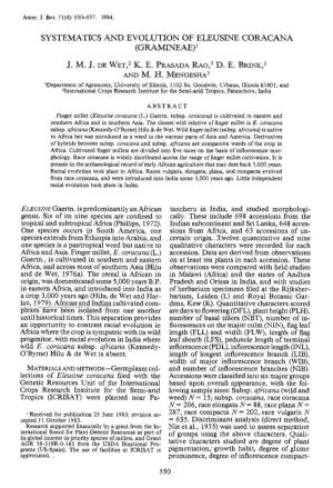 Systematics and Evolution of Eleusine Coracana (Gramineae)1